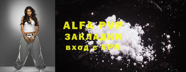 стаф Аркадак